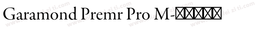 Garamond Premr Pro M字体转换